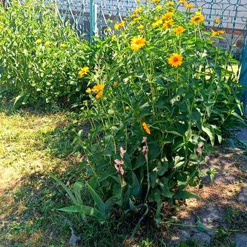 Продам дім на Петрівці, в районі кварталу 304