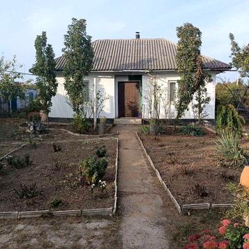 Здається будинок в с. Ожево Чернівецької області. з городом та садом.