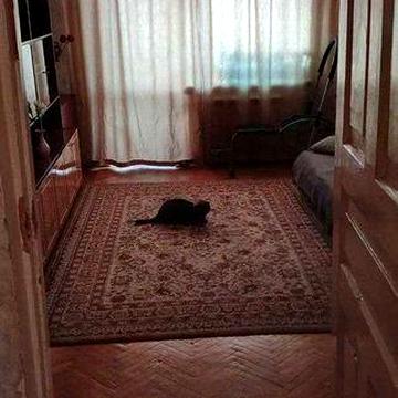 Продається двокімнатна квартира.