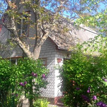 Оренда дачі. Черкаси. Біля Дніпра