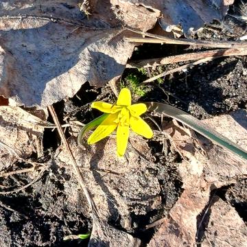 Продам дачу на озері Ліман