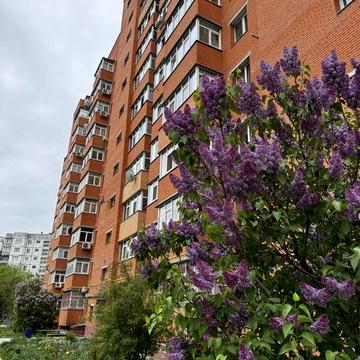 1к Ковпака з автономкою в оренду