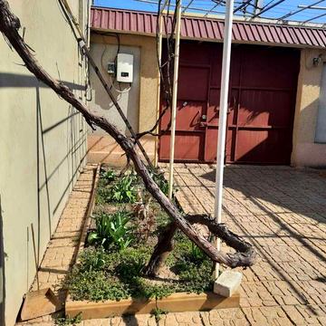 Сдаю Слободка ул.Коровицкого, Домик 1-комн.- 7000гр