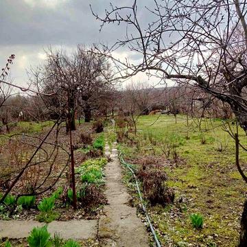 Продам дачу . Срочно