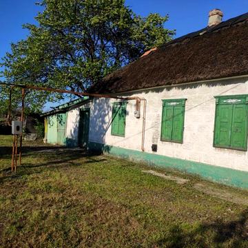 Продається будинок в селі Єлизаветівка