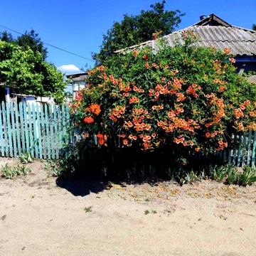 Продам дім село Юріївка