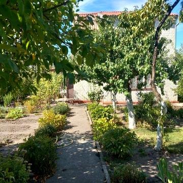 Здам в оренду дачу на березі р. Самара