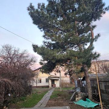 Здам будинок Центр б.Шевченко