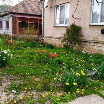 Довгострокова оренда будинку