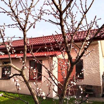 Дом дача со всеми удобствами в Осещине