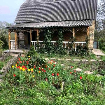 Продаж затишої дачі в СТ «Покутівщина» (Кожанка) — 18 соток, газ, сад!