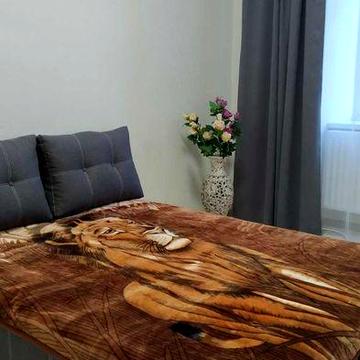 Оренда 1-но кім. квартири, Центр, вул. Раппапорта