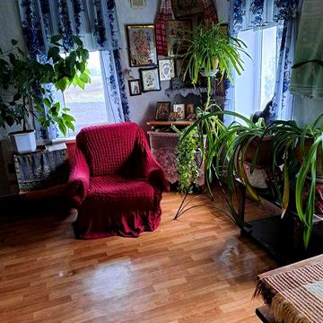 Здам в оренду будинок в селі