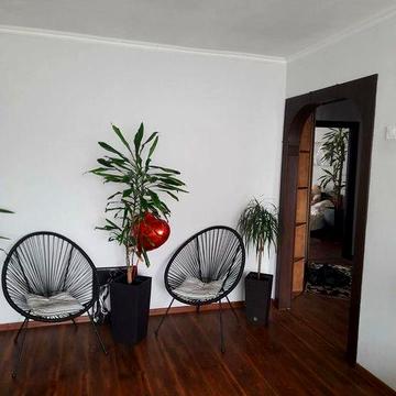 Здається 2-кімн. квартира  по вул. Скальда