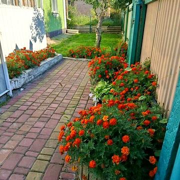 Продаж 4к Дім Поштова (Радянської Армії) вулиця