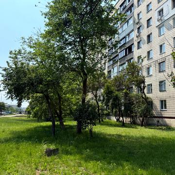 Лісовий просп., 43