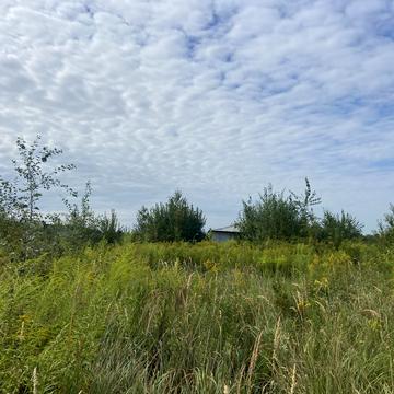 Небесної сотні