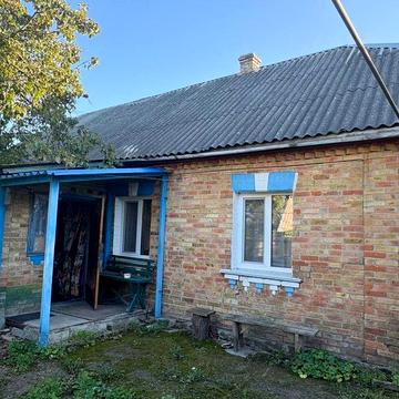 Будинок у селі Петрушки