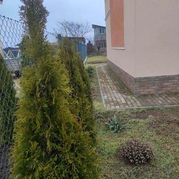 Новий будинок біля моря tir-01