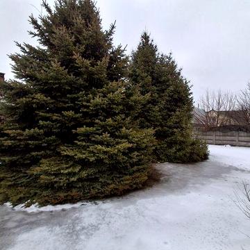 Сдам большой дом