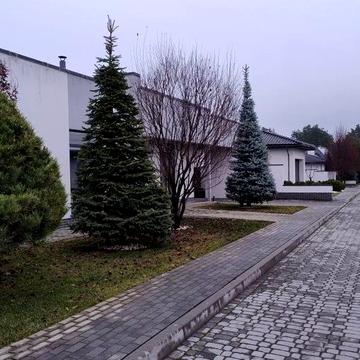 Продам елегантний будинок