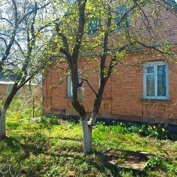 Продам Будинок с.Тютюнники