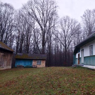 Будинок біля лісу, велика ділянка для дачі, відпочинку, біля Карпат