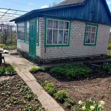 Дача с поливом, р-н Власівка. Торг.