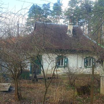 Забіря.(Жорнівка)  будинок 62м.кв., на ділянці 15сот., майже в лісі.