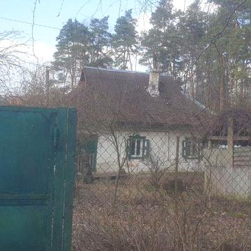 Забіря.(Жорнівка)  будинок 62м.кв., на ділянці 15сот., майже в лісі.