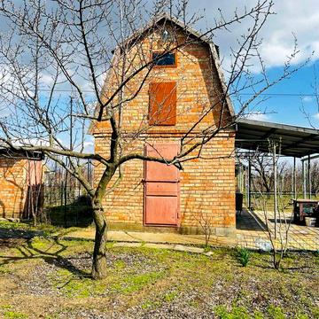 Продається доглянутий сад із виноградником та житловим будинком.