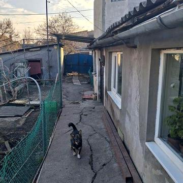 Продам дом с участком Черемушки