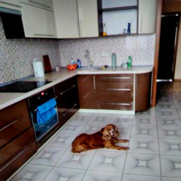 Здорова ,комфортна кімната