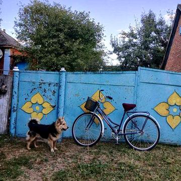 Продам будинок с.Тишки