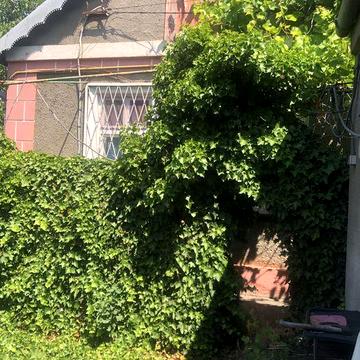 Сдам Дом Львовская