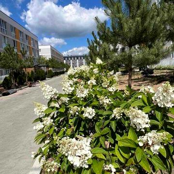 Продаж 1к 27м2 в ЖК Sanville park! Розтермінування! ЖК Sanville Park