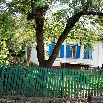 продається будинок в селі з господарськими будівлями.