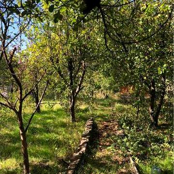 Продается дача в кооперативе оптимист