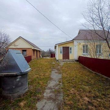 Продаж будинку в с. Ольшаниця, Білоцерківський район