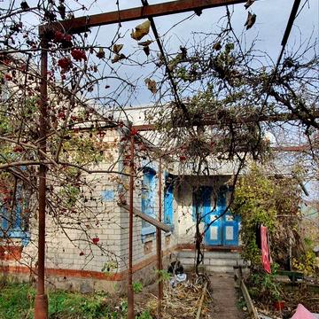 Будинок, два гаражі, господарські приміщення, баня