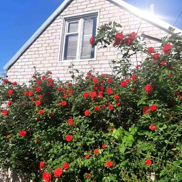 Розумівка, Запорізький, Запорізька область 5000.0 USD