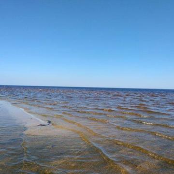 Оренда будинку на літо