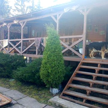 Продам большой дом в с.Комань . Новгород -Северский район.