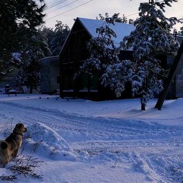 Довгострокова оренда (з можливим викупом)