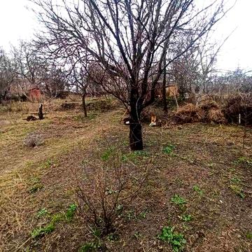 Продаж дачного будинка із земельною ділянкою в СТ « Енергетик»