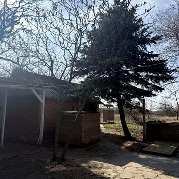 Продам дома в сосновом лесу