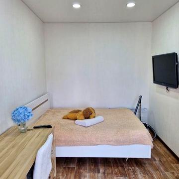 Здається смарт-квартира в центрі міста