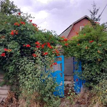 Дом у лимана всего в 12 км от Одессы — для жизни и отдыха круглый год