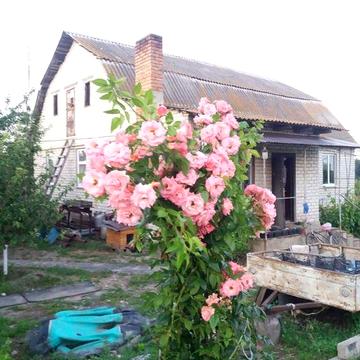 Аренда часного дома