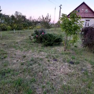 №:14047 — Продаж будинку, 2-кімн, Новопіль, 80 м², 1-пов, 60 сот